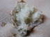 Raw Oysters with Lemon Dill Granita